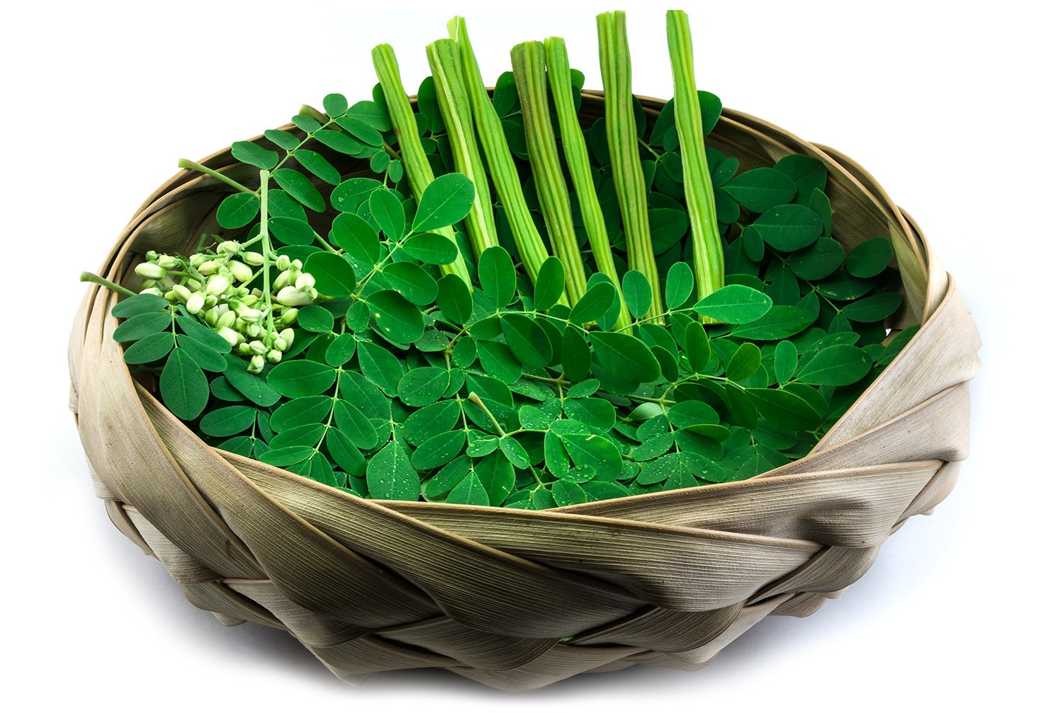 Moringa - Agricultural products for every home