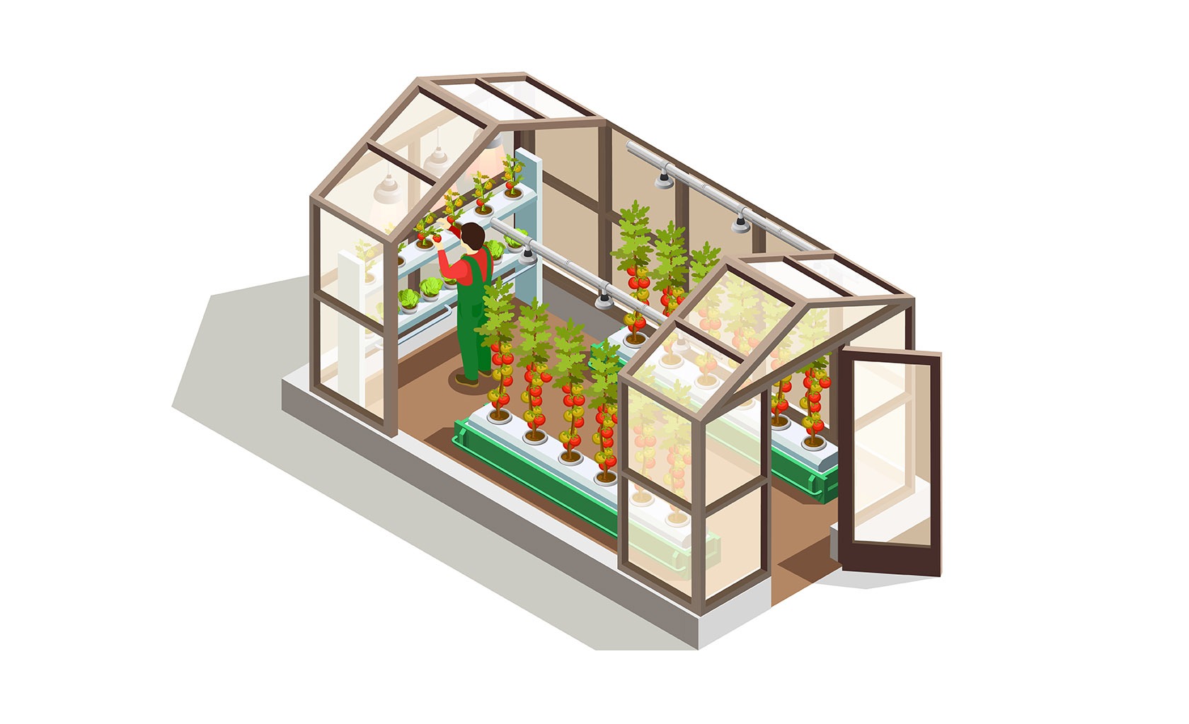 Hydroponics-Agriculture-Trends-2020