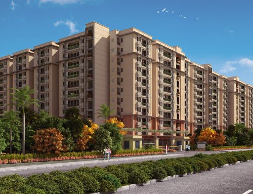 Perks of a Multi-Purpose Complex