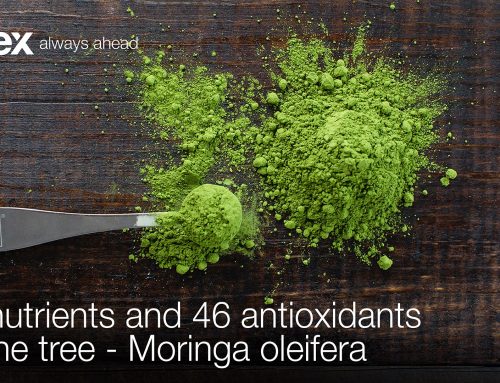 92 nutrients and 46 antioxidants in one tree – Moringa oleifera