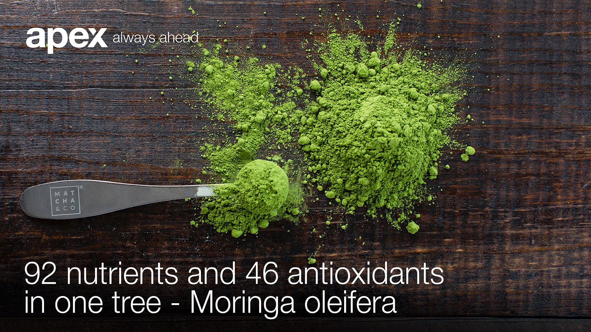Moringa-Blogpost_Website-Featured-Image