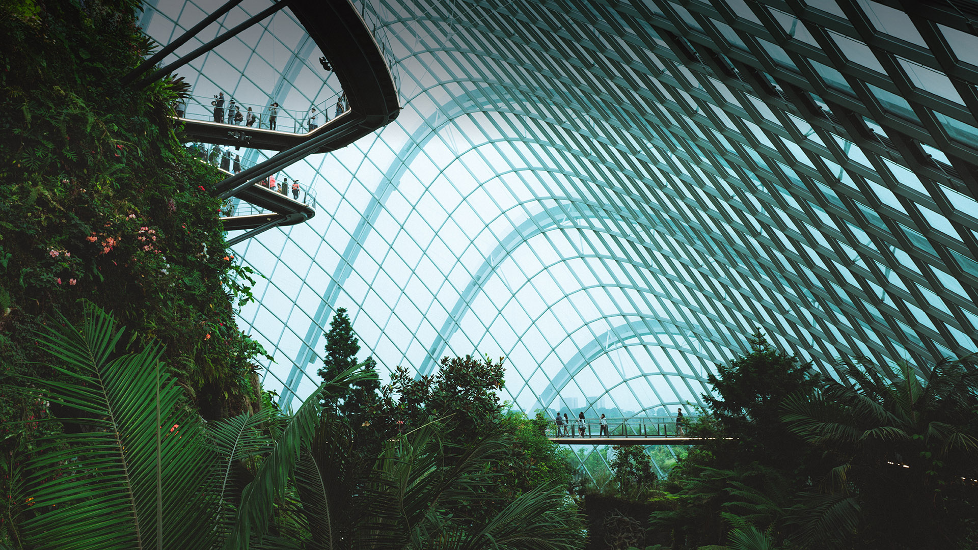 Ahead-in-Time-Website-Featured-Image